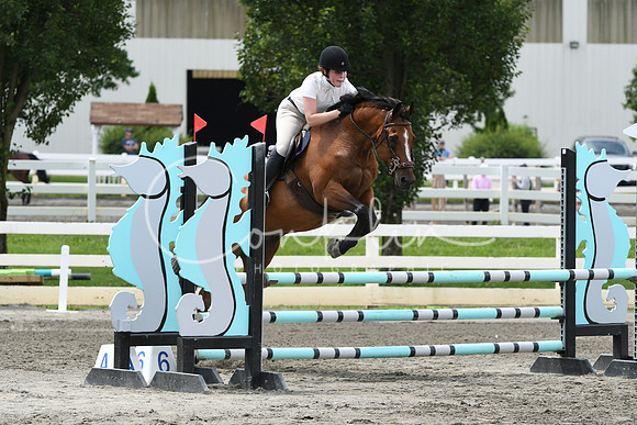 HSM_4559