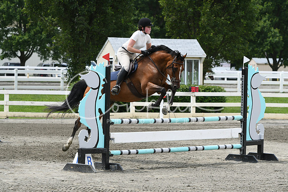 HSM_4562