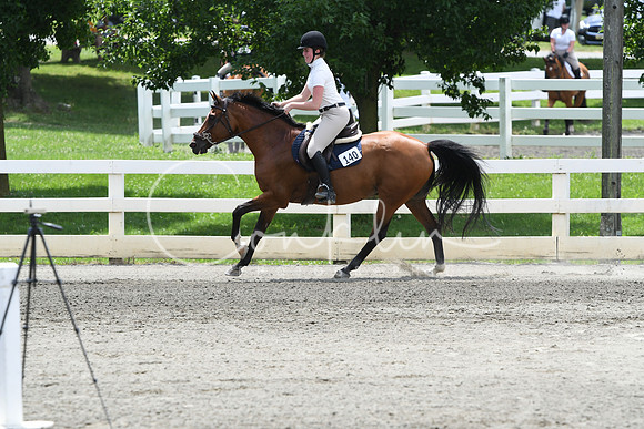 HSM_4730