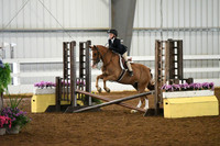 HSM_7961