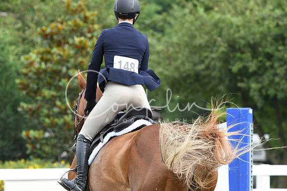 HSM_3988