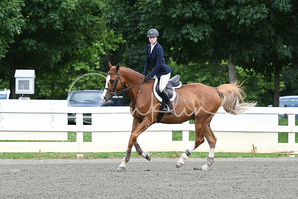 HSM_4172