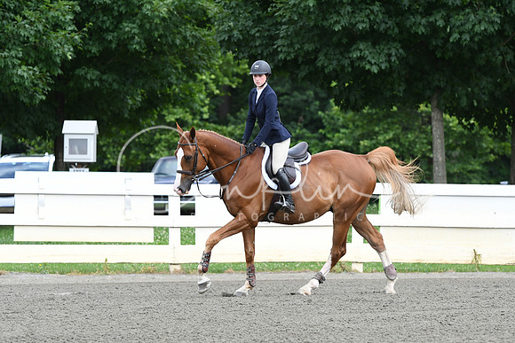 HSM_4173