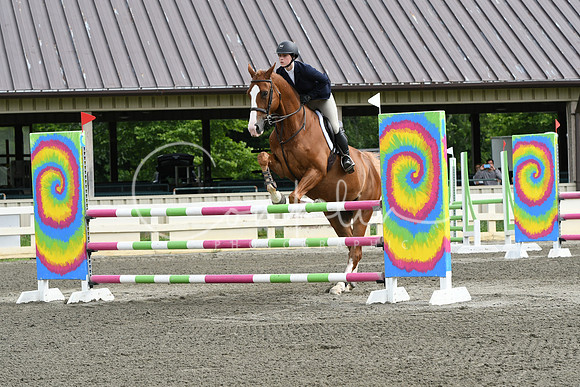 HSM_4184