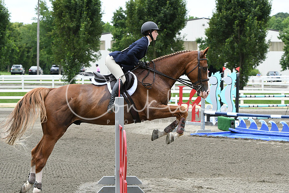 HSM_4390