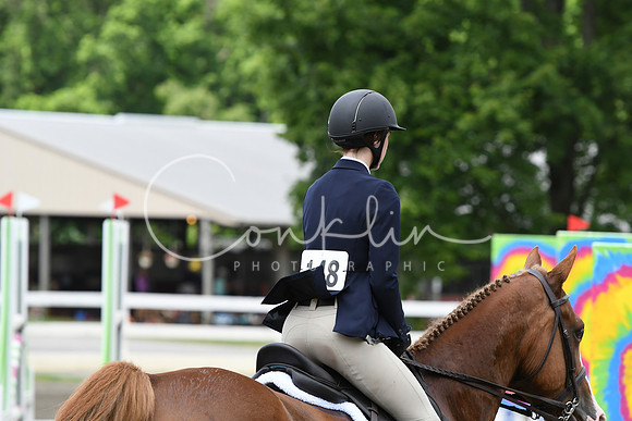 HSM_4391