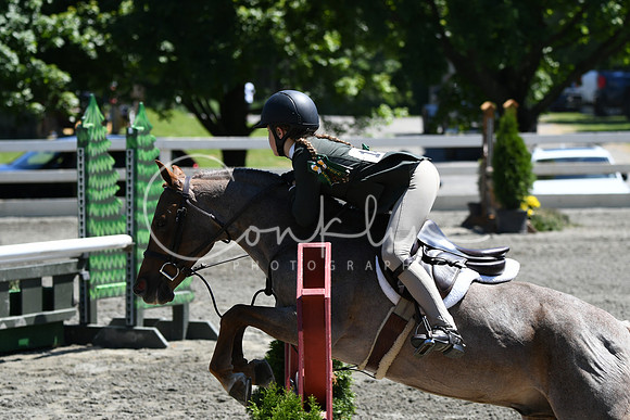 HSM_1321