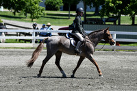 HSM_1371