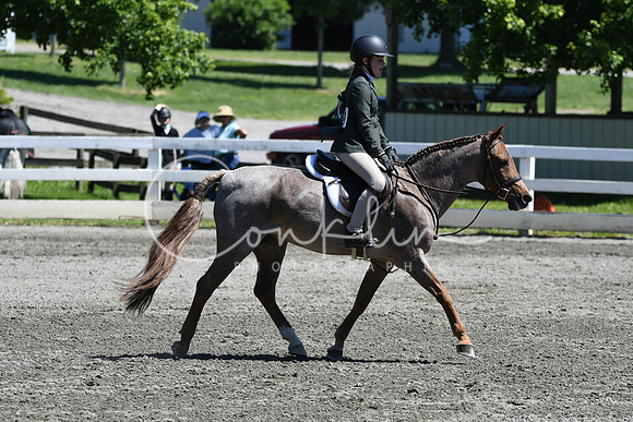 HSM_1371