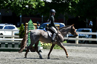 HSM_1373