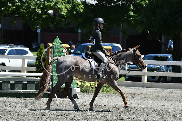 HSM_1373