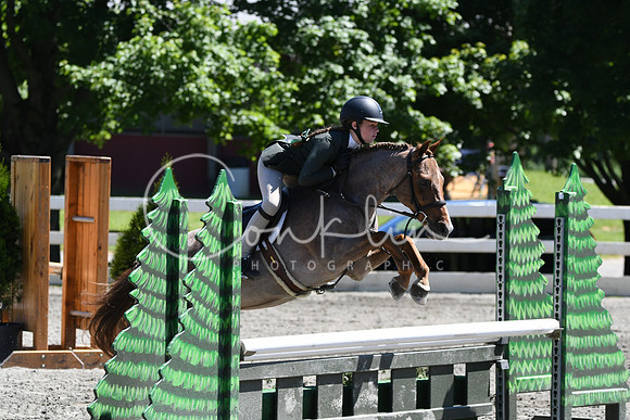 HSM_1383