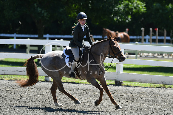 HSM_1426