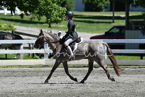 HSM_1437