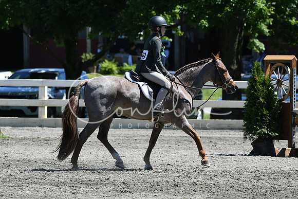 HSM_1482