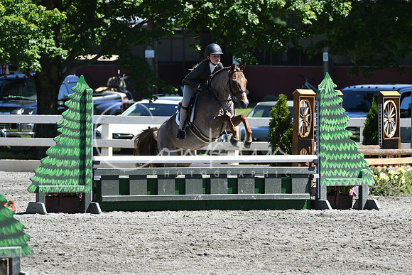 HSM_1490