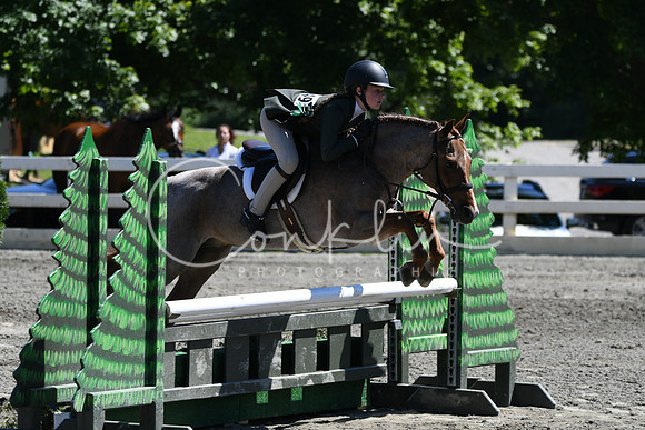 HSM_1493