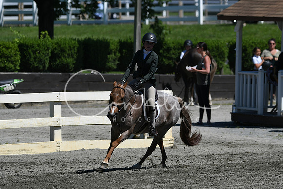 HSM_1496