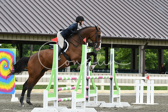HSM_3974