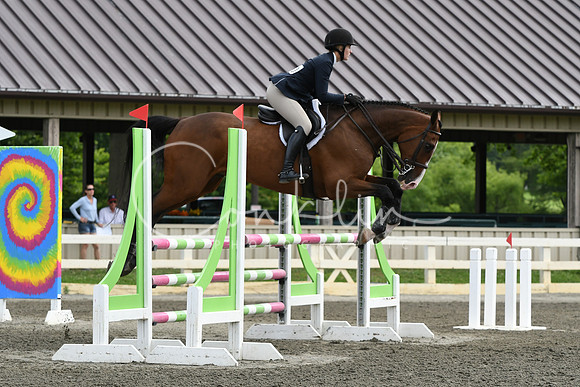 HSM_4223