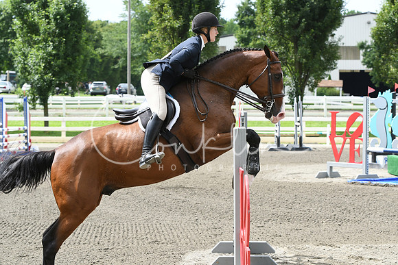 HSM_4368