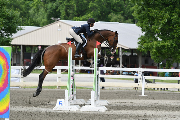 HSM_4376