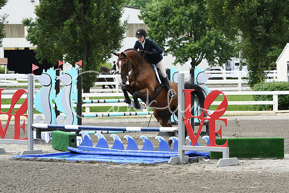 HSM_4378