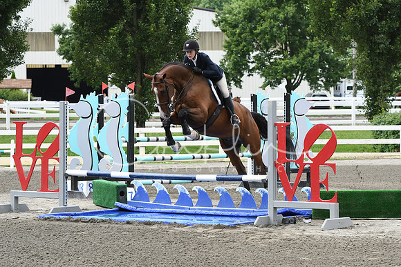 HSM_4379
