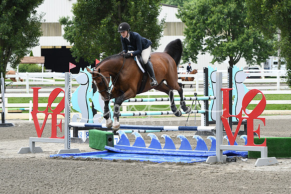 HSM_4380