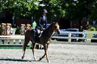 HSM_1764