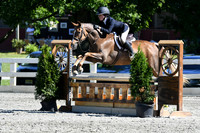 HSM_1767