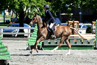 HSM_1768