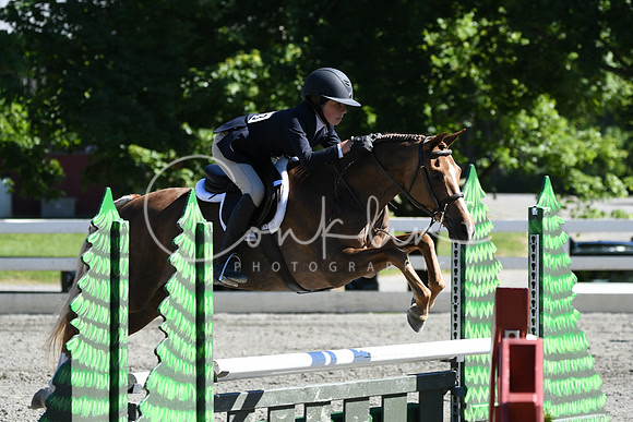 HSM_1773