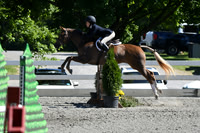 HSM_1774
