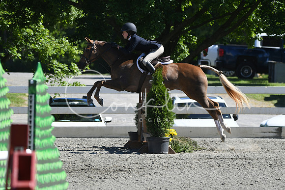 HSM_1774