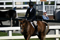 HSM_1822