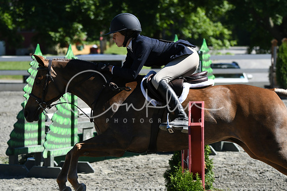 HSM_1831