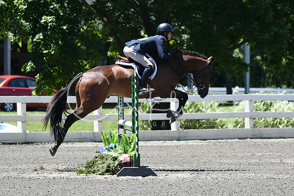HSM_0984