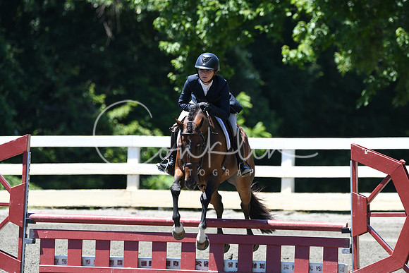 HSM_0988