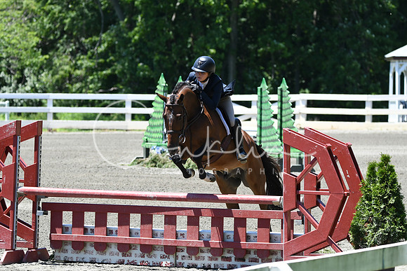 HSM_0989