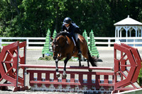HSM_1020