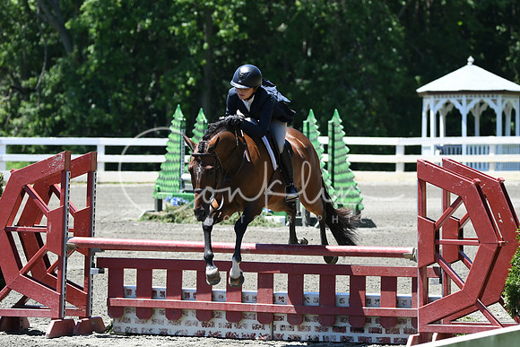 HSM_1020