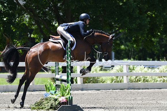 HSM_1023