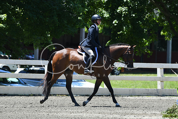HSM_1051