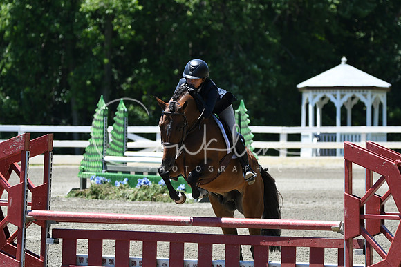 HSM_1067