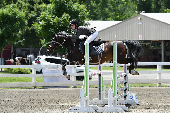 HSM_2889