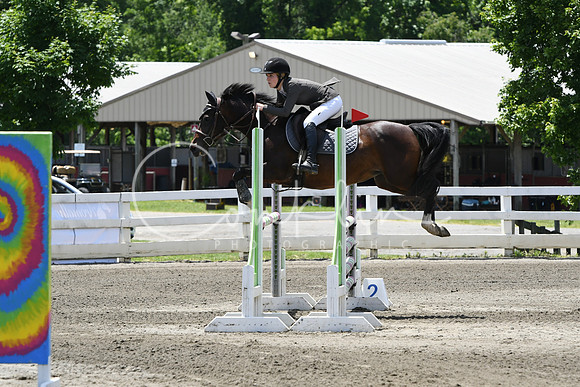 HSM_2953