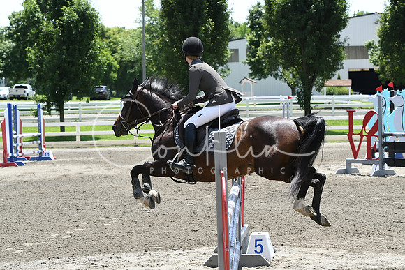 HSM_2958