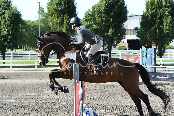 HSM_2014