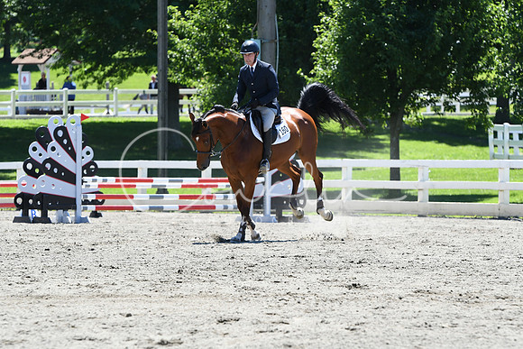 HSM_8973